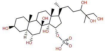 5a-Cholestane-3b,6a,8,14,15a,24,25,26-octol 15-sulfate